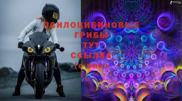 прущая мука Богородск