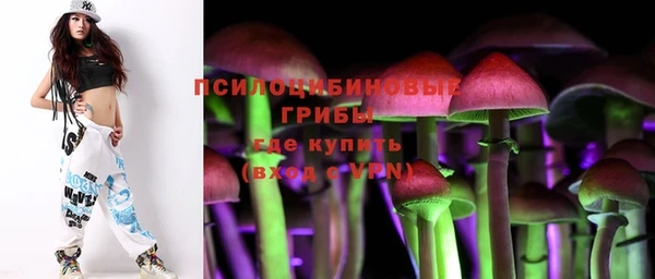 mix Богородицк