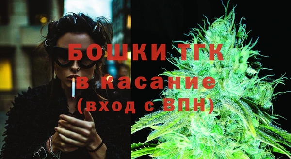 mix Богородицк