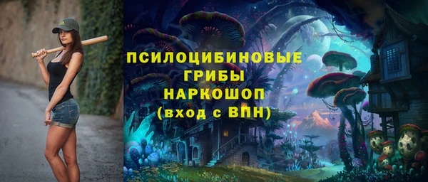 mix Богородицк