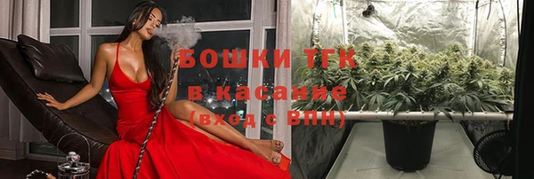 прущая мука Богородск