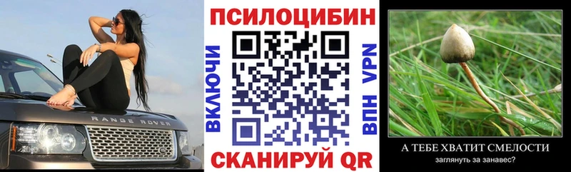Галлюциногенные грибы GOLDEN TEACHER  shop официальный сайт  Наро-Фоминск 